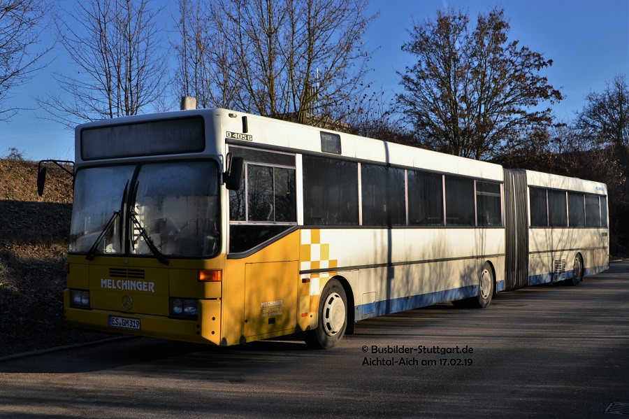 ES-GM 319