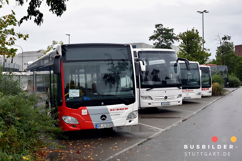 September 2024 Nach der Geschäftsaufgabe der Rexer-Gruppe im Jahre 2020, zu denen auch die Verkehrsbetriebe Nagoldtal (VBN) und das Unternehmen Busverkehr Nordschwarzwald (BVN) gehörten, gingen einige Solo- und Gelenkbusse des Typs Citaro an Süsser Reisen & Transport aus Deckenpfronn. Dort werden die Fahrzeuge u.a. im ehemaligen Rexer-Stammgebiet in den Landkreisen Calw und Böblingen eingesetzt. Erst seit 2021 ist die Firma Süsser, als Partner der Verkehrsgesellschaft Bäderkreis Calw (VGC), im Linienverkehr tätig.